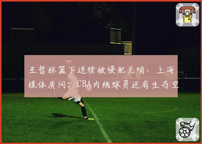 王哲林篮下连续被侵犯无哨，上海媒体质问：CBA内线球员还有生存空间吗