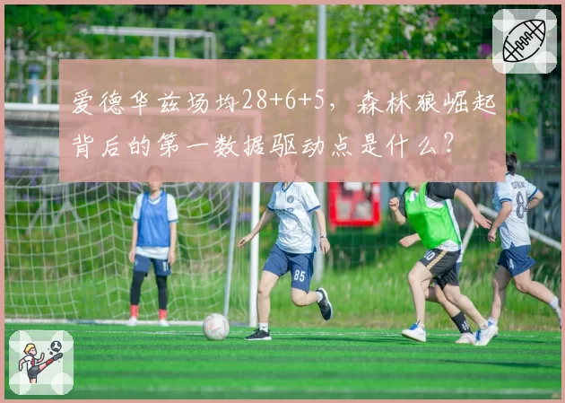 爱德华兹场均28+6+5，森林狼崛起背后的第一数据驱动点是什么？