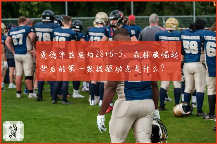 爱德华兹场均28+6+5，森林狼崛起背后的第一数据驱动点是什么？