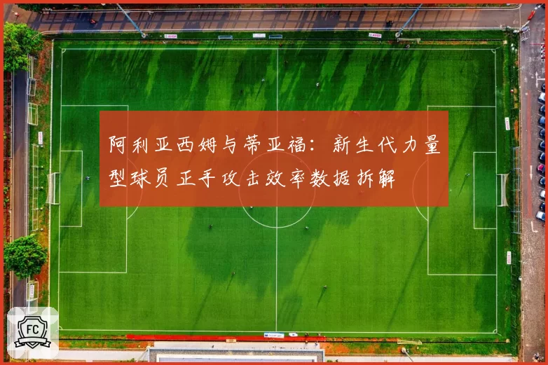 阿利亚西姆与蒂亚福:新生代力量型球员正手攻击效率数据拆解