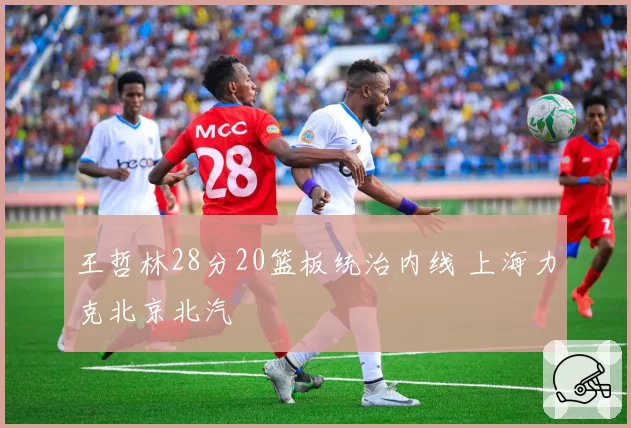 王哲林28分20篮板统治内线 上海力克北京北汽